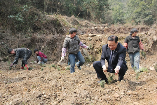 人民电器,人民电器集团,中国人民电器集团