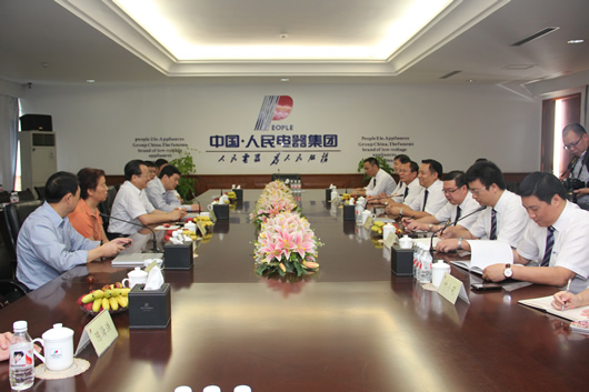 人民电器,人民电器集团,中国人民电器集团